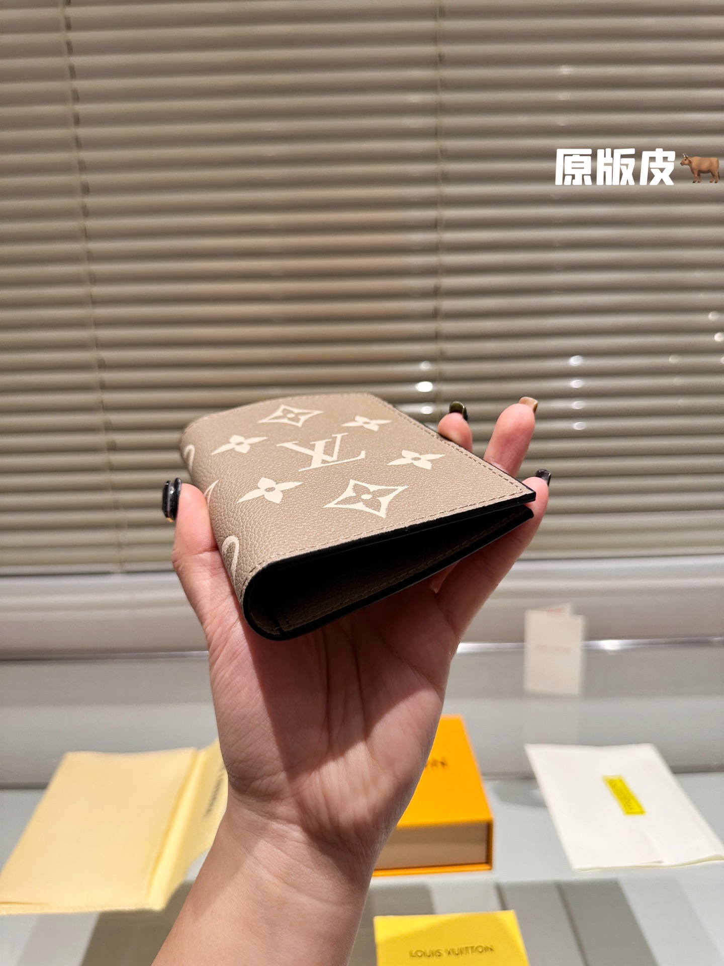 LV Passport holder 008 DB511 10cm