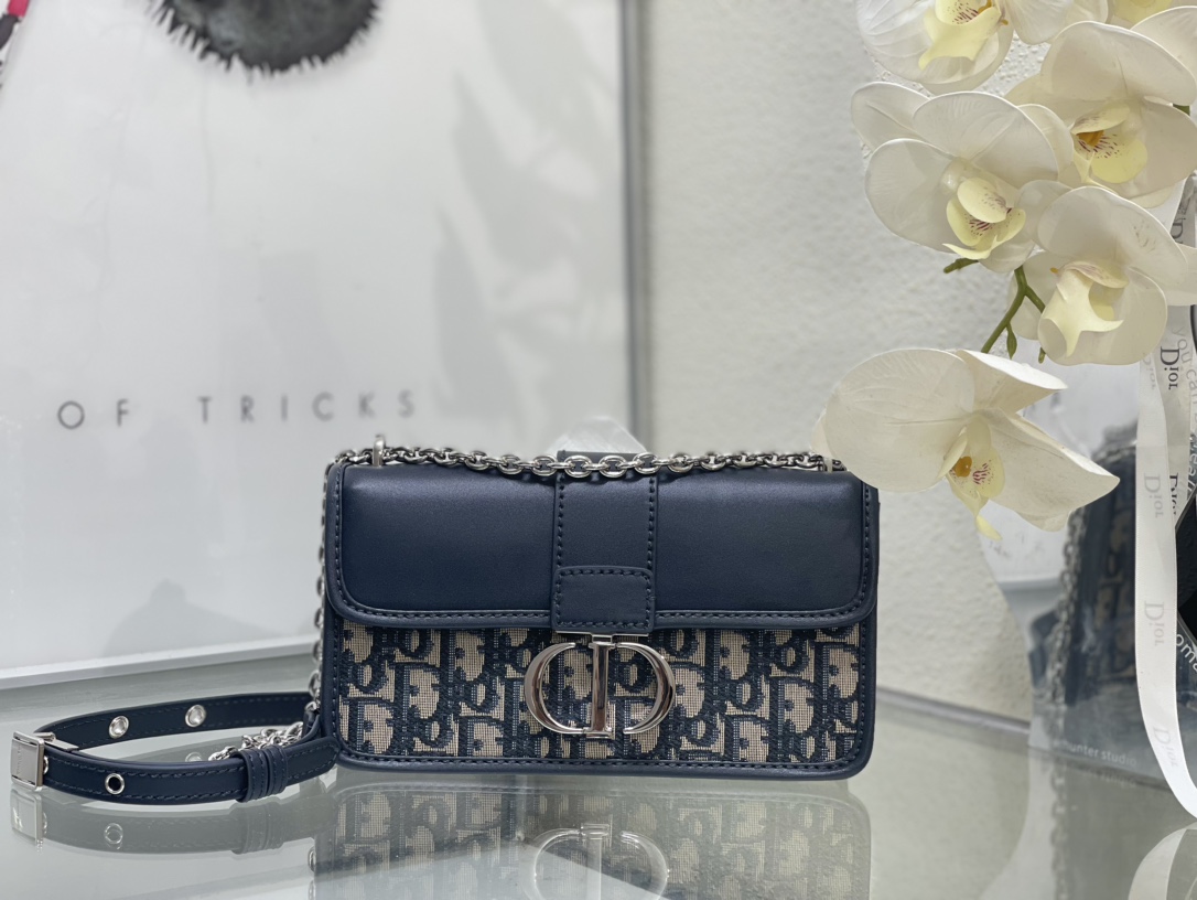 Dior 30 Montaigne Bag 5545S LM571 21cm