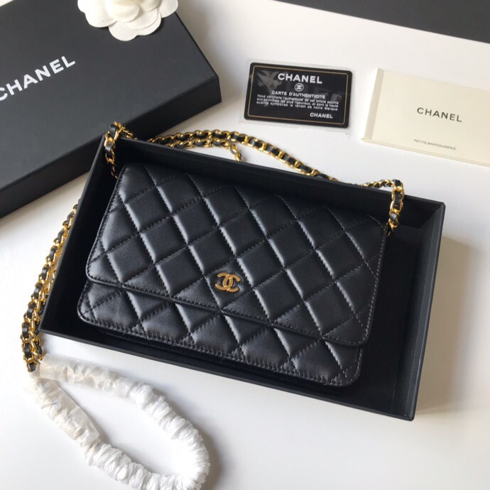 Top quality Chanel WOC 19cm 0250