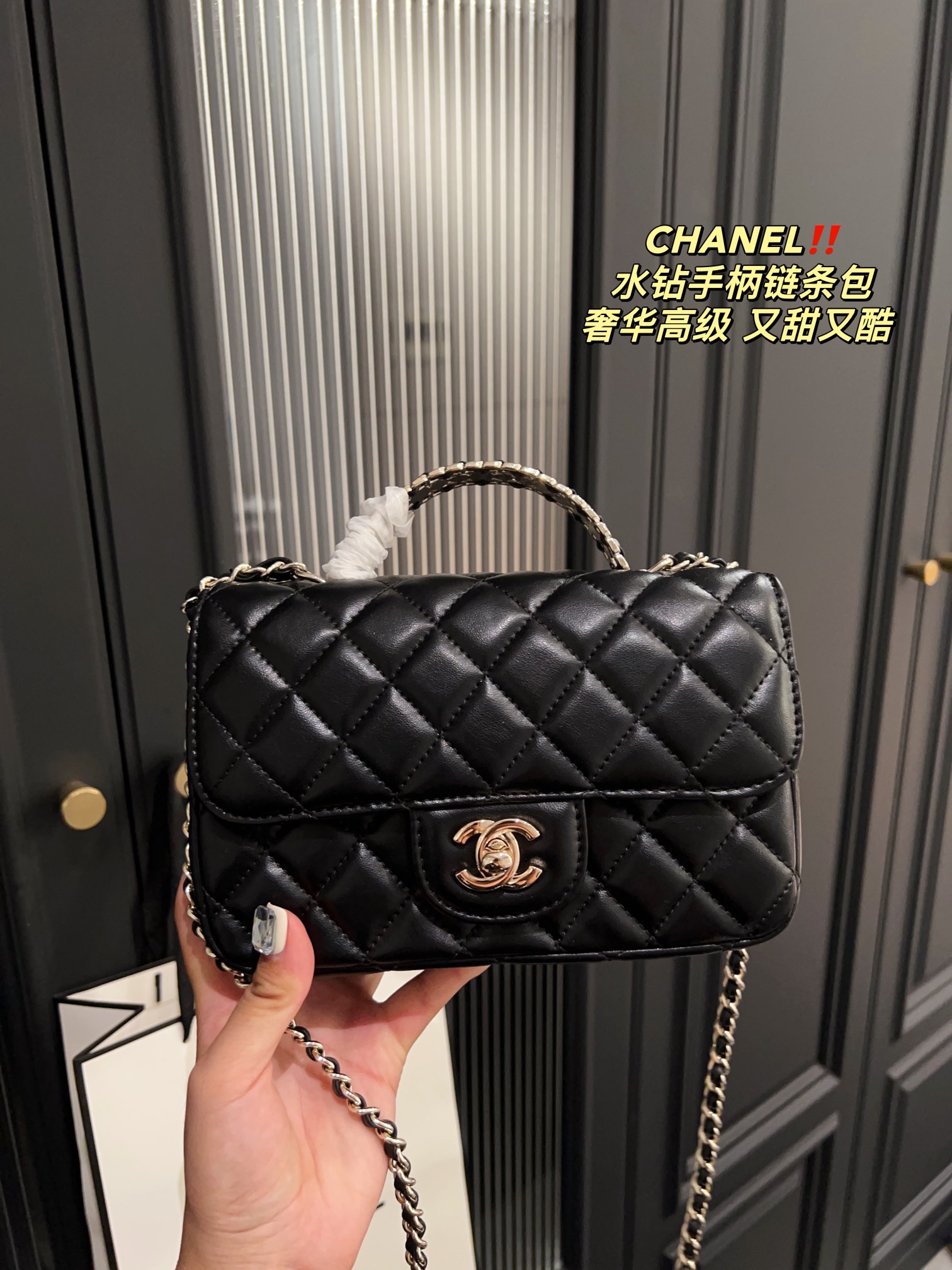 Chanel Handbag 009 DB061 19cm