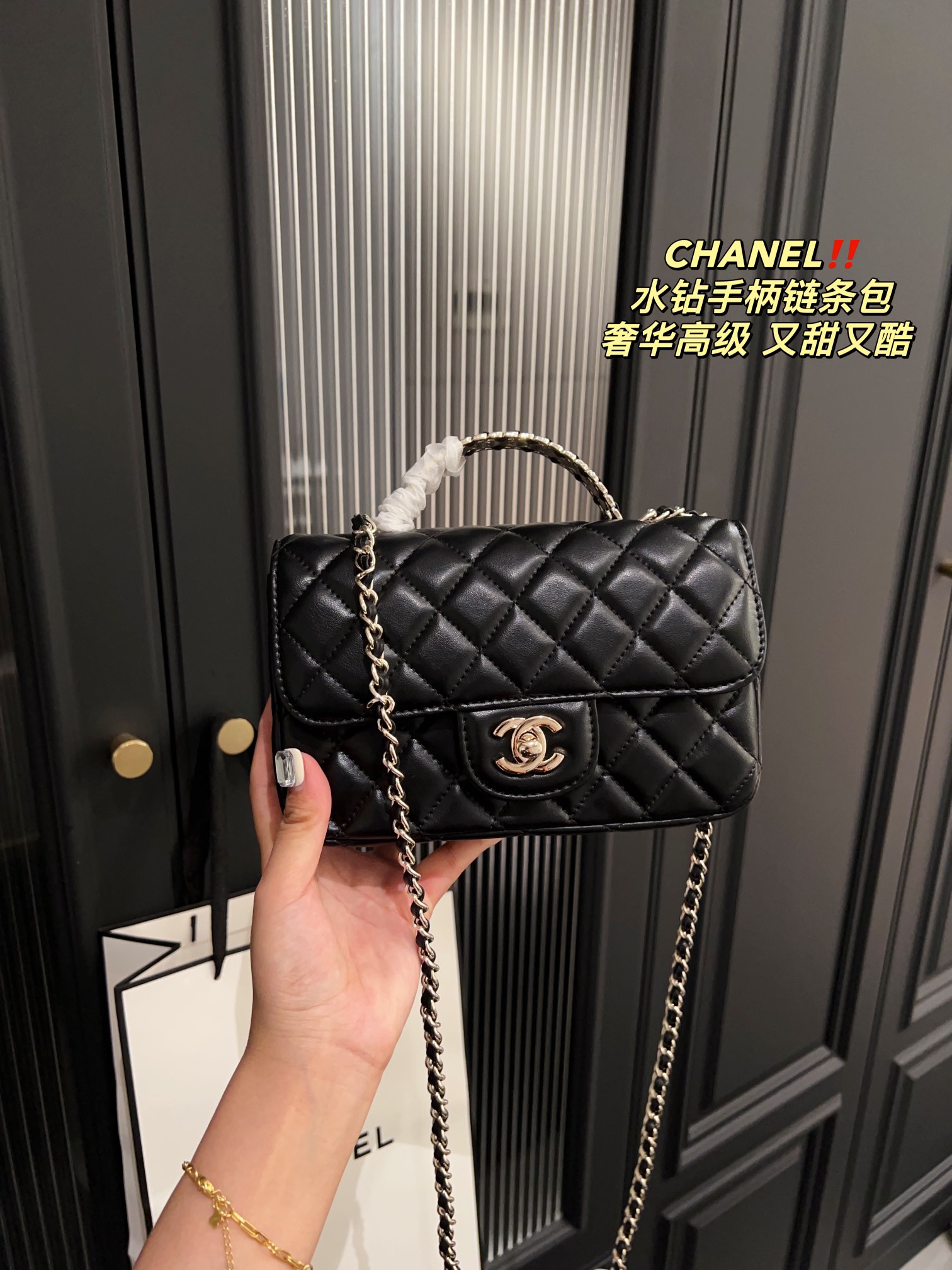 Chanel Handbag 009 DB061 19cm