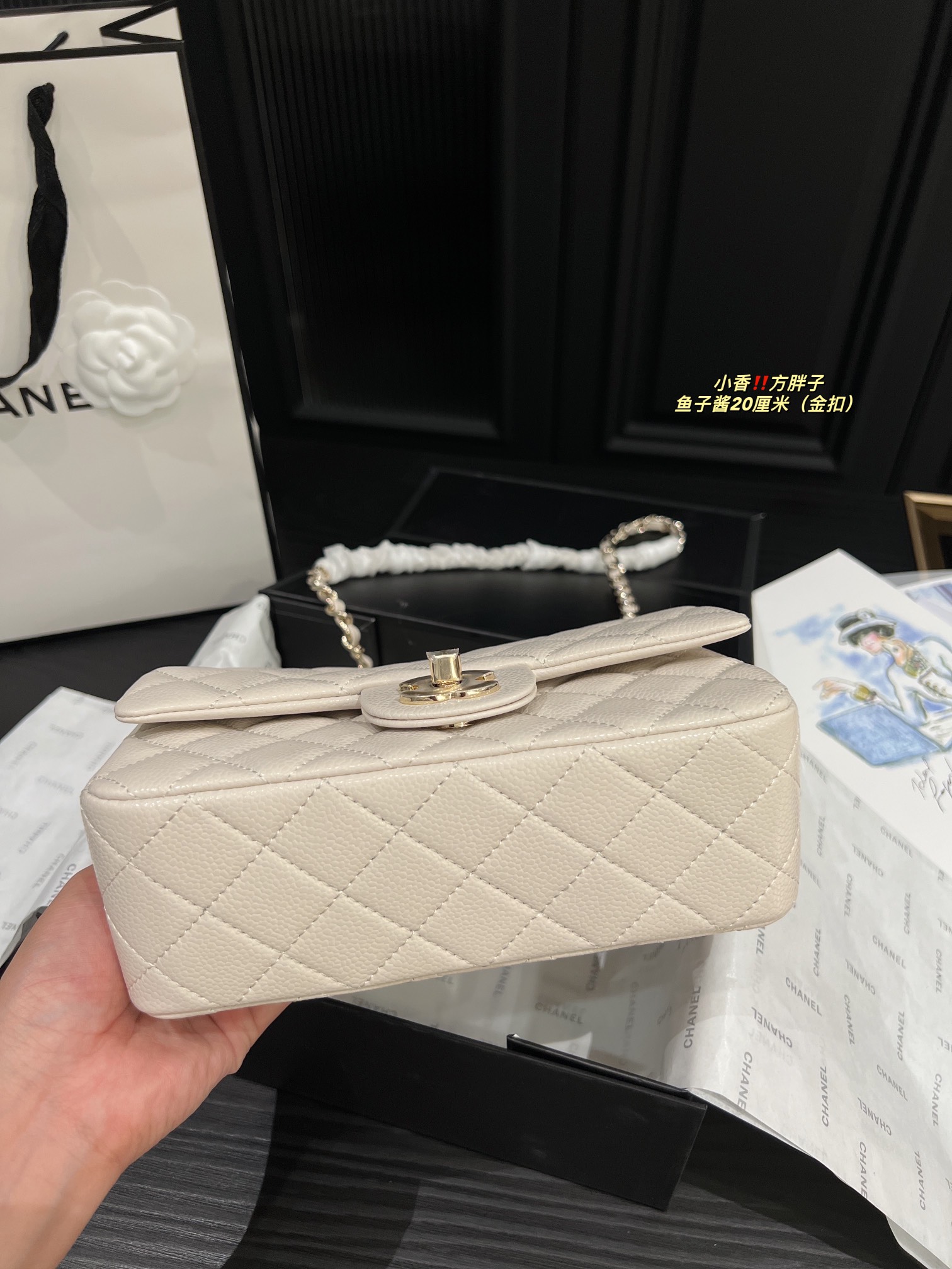 Chanel Shoulder Bag 017 DB071 20cm