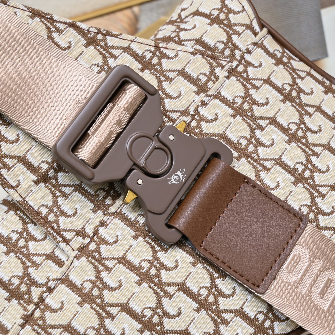 Dior Homme Pre-Fall Saddle Ophidia Shoulder Bag Handbag