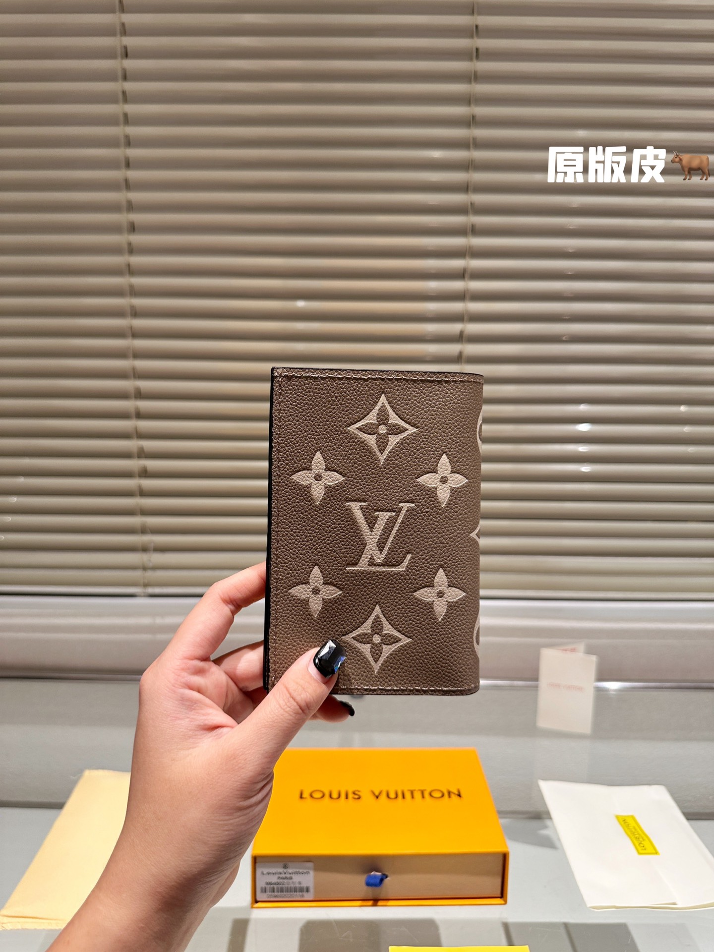 LV Passport holder 008 DB511 10cm