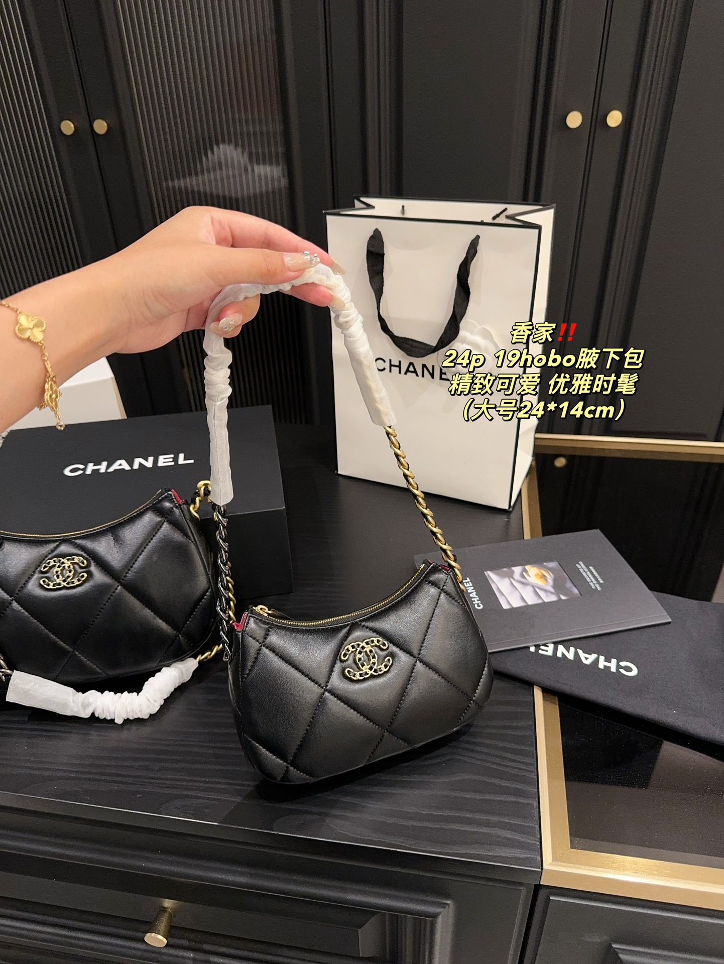 Chanel 24p 19hobo Bag 018 DB571 20-24cm