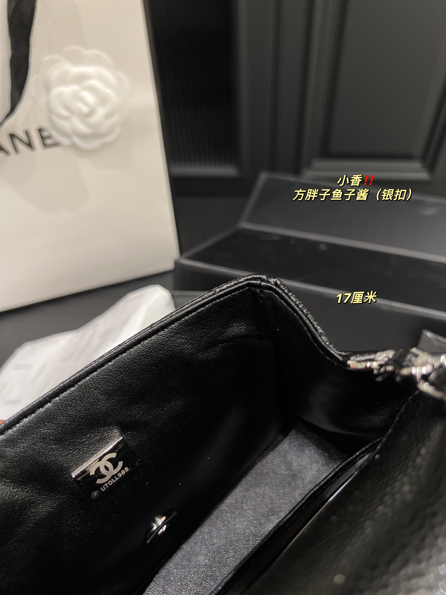 Chanel Shoulder Bag 017 DB071 17cm