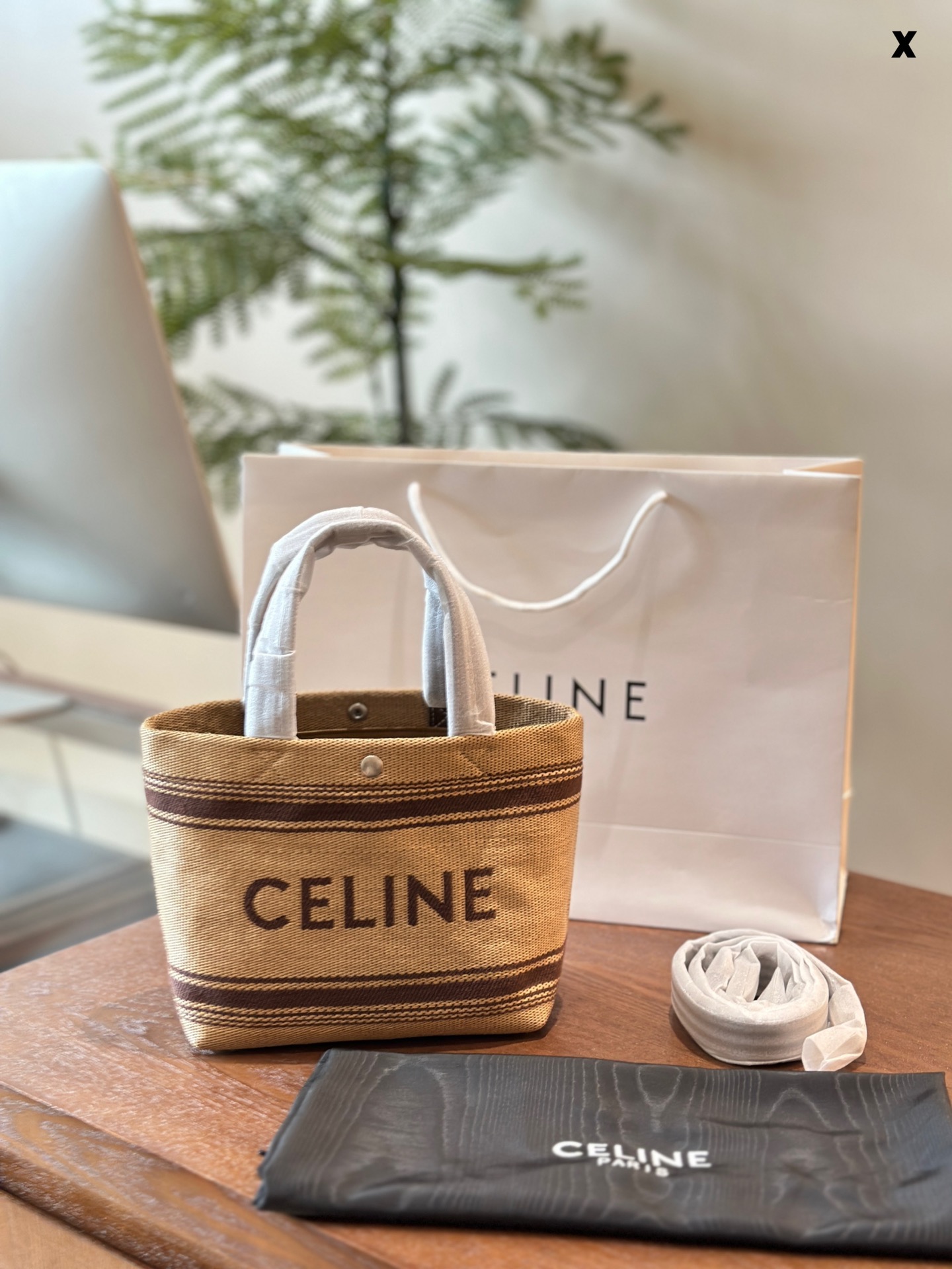 Celine Mini Tote 002 LM081 22cm