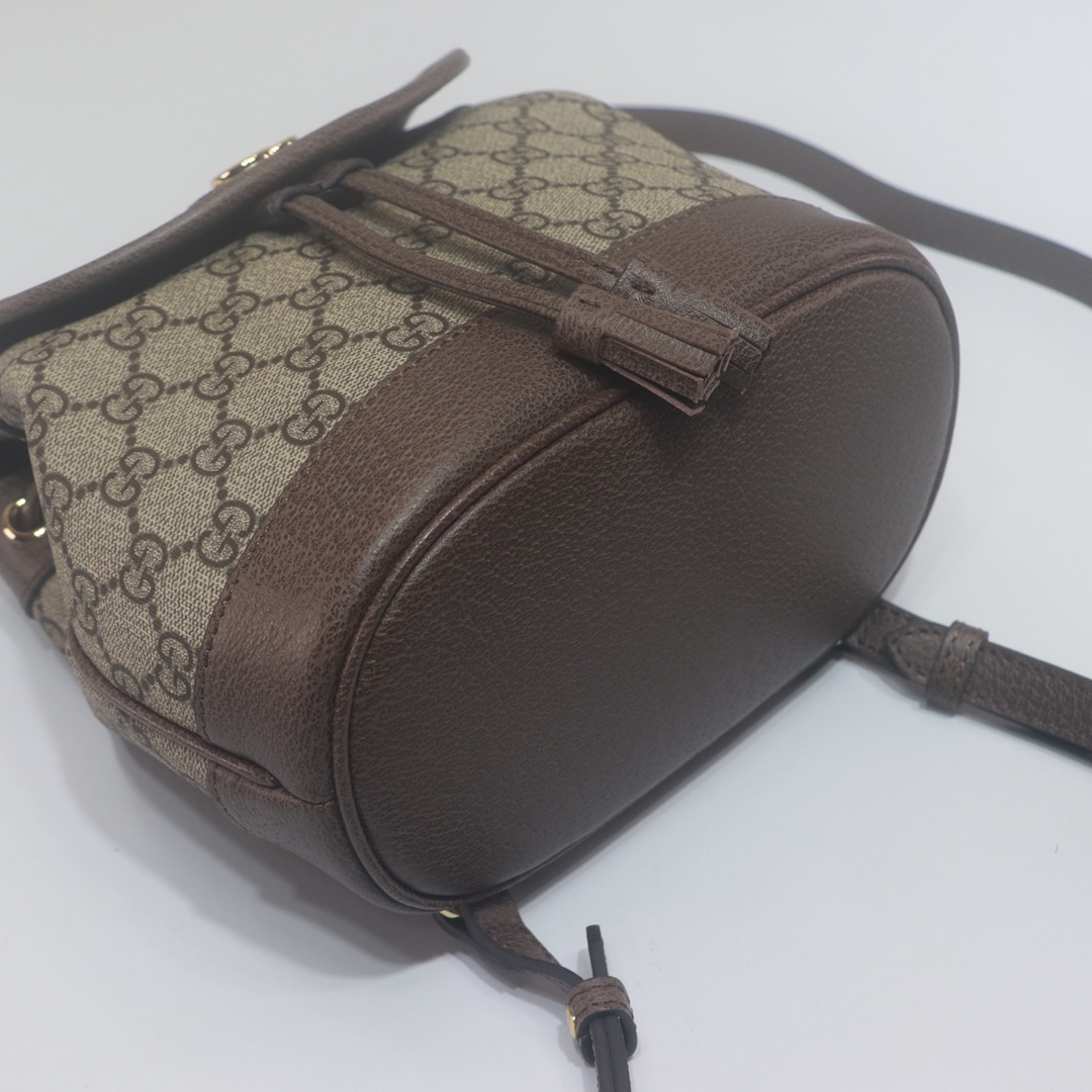 Gucci Ophidia Backpack 795221 LM031 20.5cm