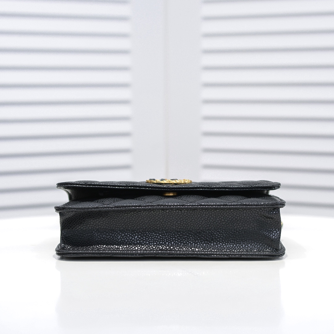 Chanel Woc Chain with Ball Pattern Shoulder Bag Handbag