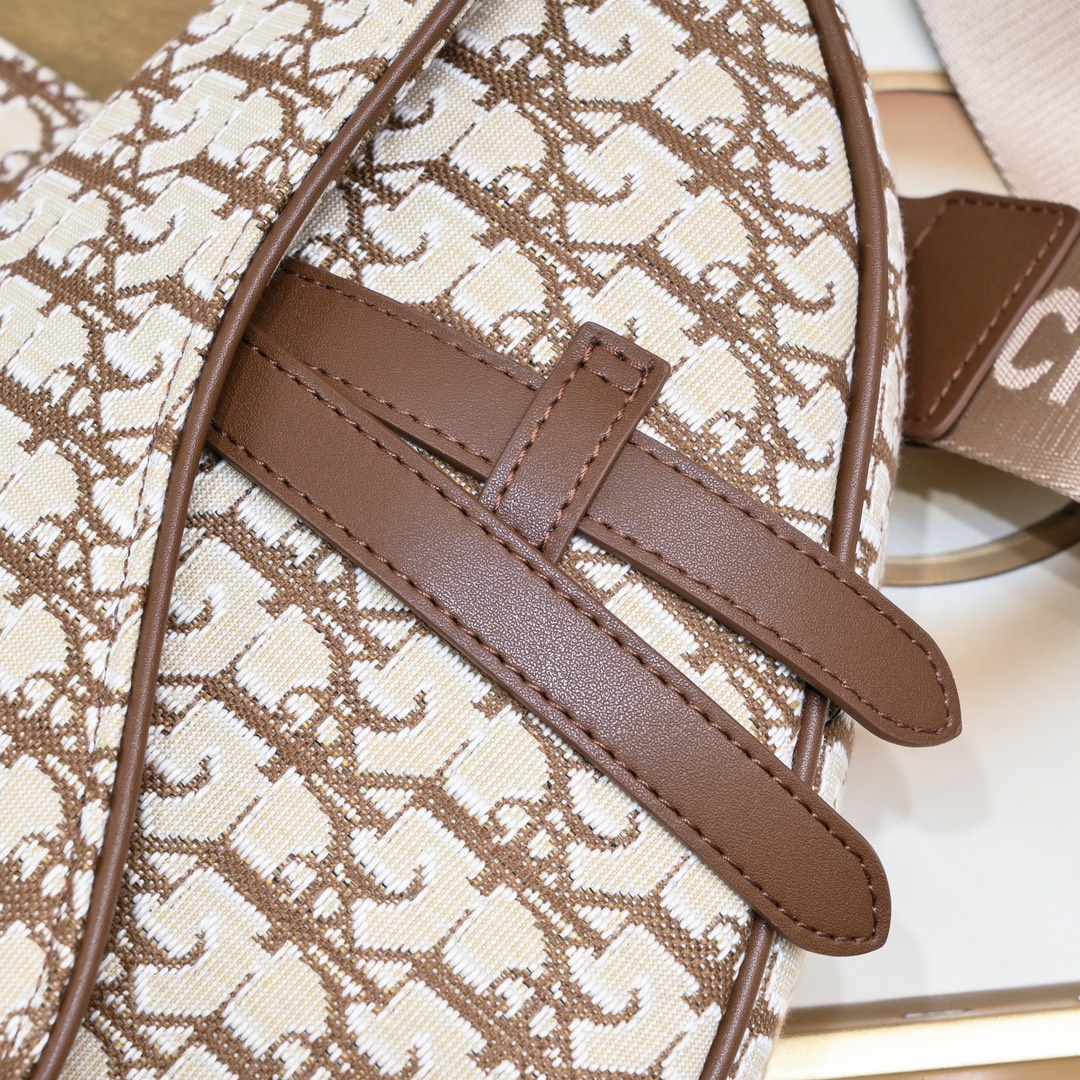 Dior Homme Pre-Fall Saddle Ophidia Shoulder Bag Handbag