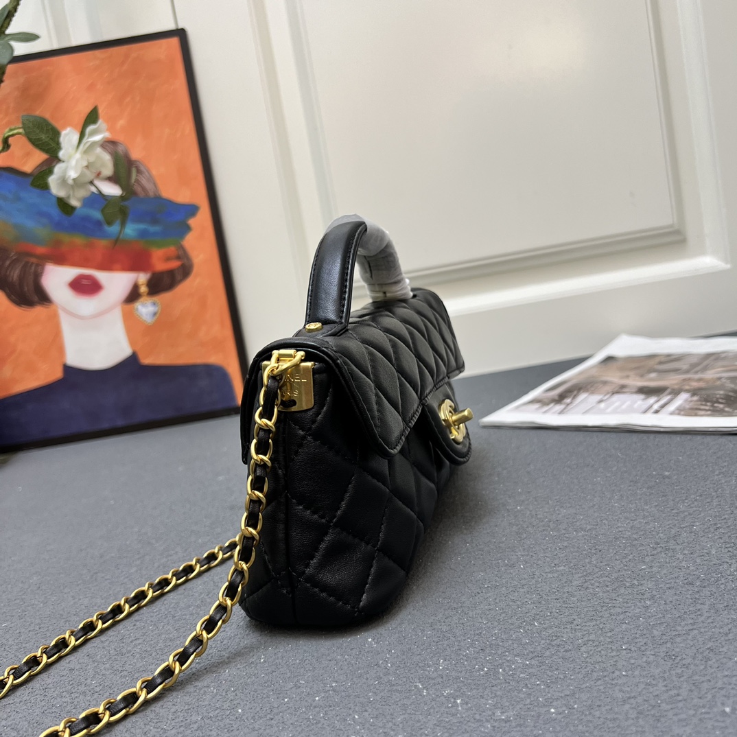 Chanel Handle bag S8892