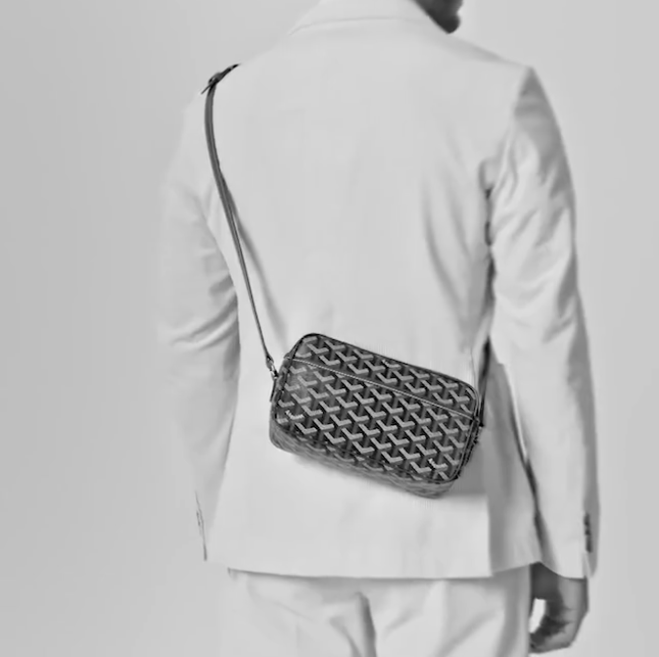 Goyard Cap-Vert PM Bag Camera Bag Shoulder Bag(Replica)