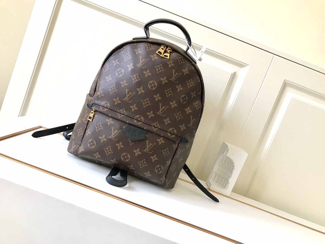 Louis Vuitton PALM SPRINGS MINI PM MM