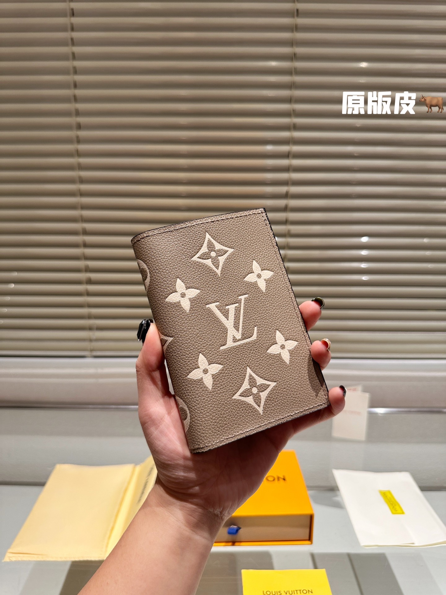 LV Passport holder 008 DB511 10cm