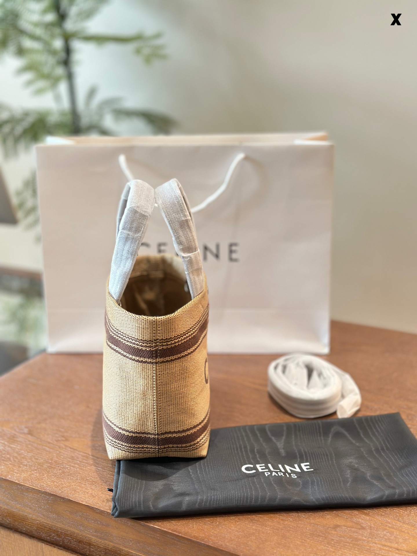 Celine Mini Tote 002 LM081 22cm