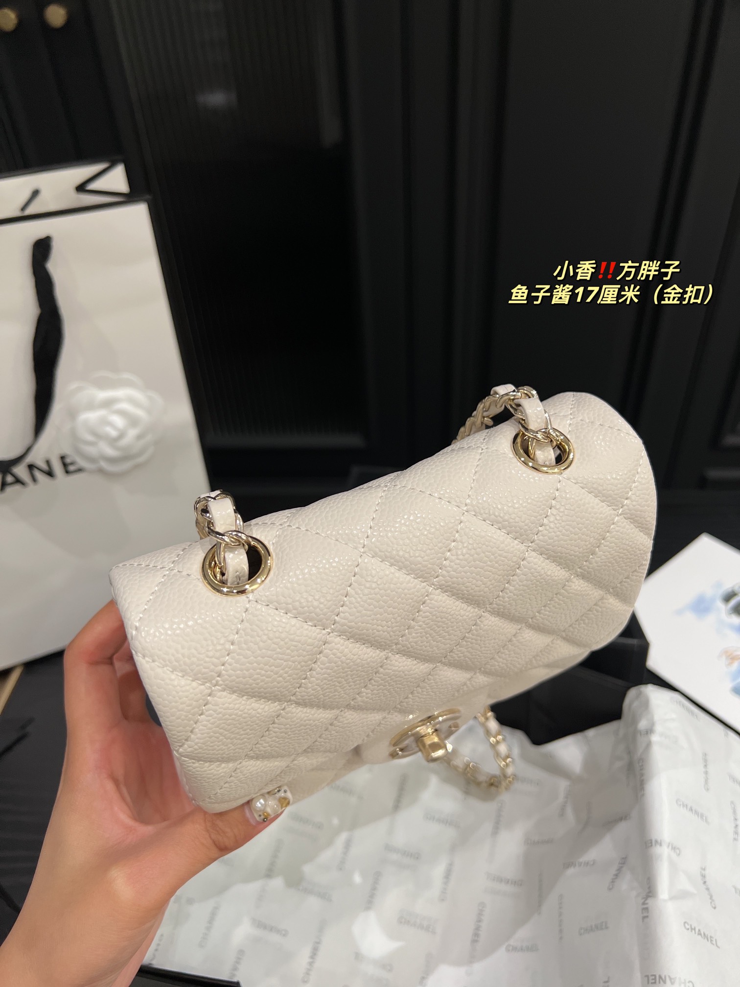 Chanel Shoulder Bag 017 DB071 17cm