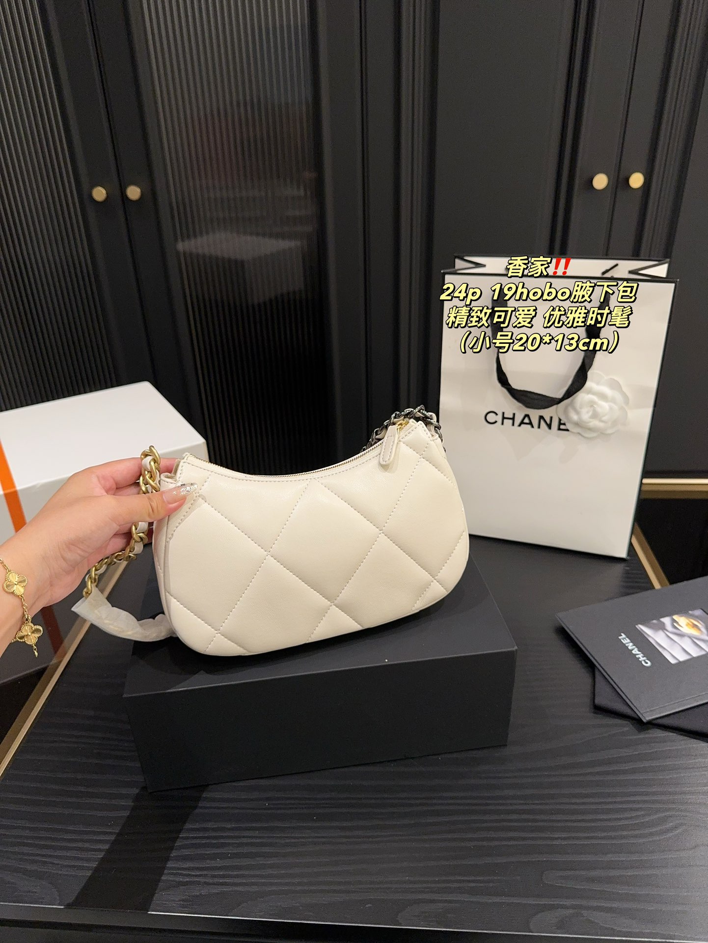 Chanel 24p 19hobo Bag 018 DB571 20-24cm