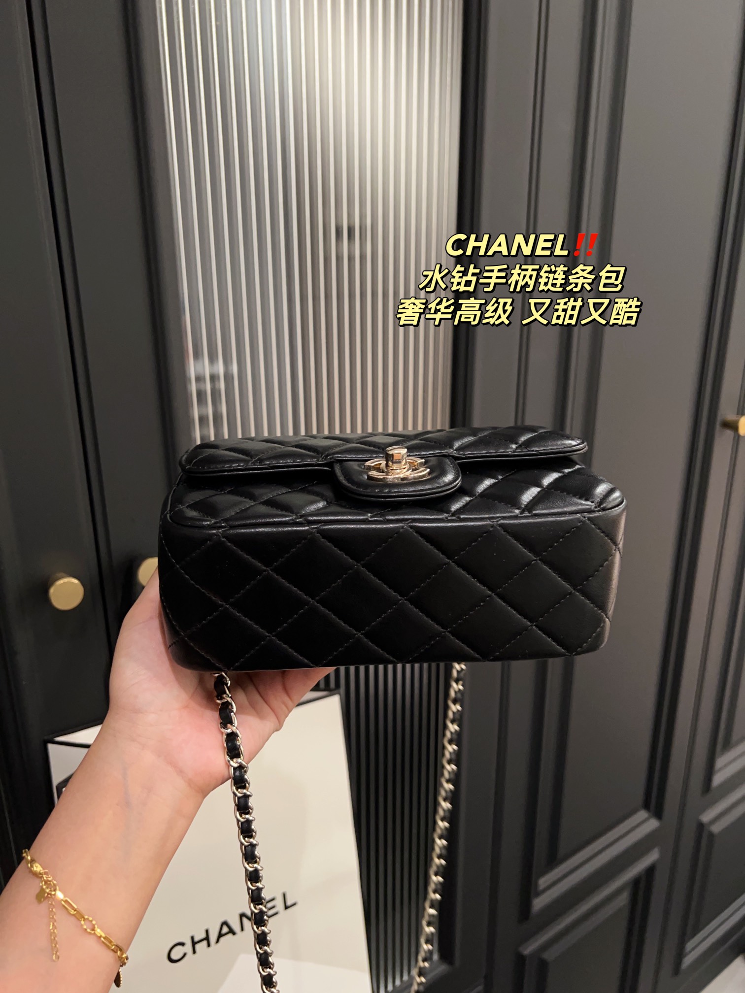 Chanel Handbag 009 DB061 19cm