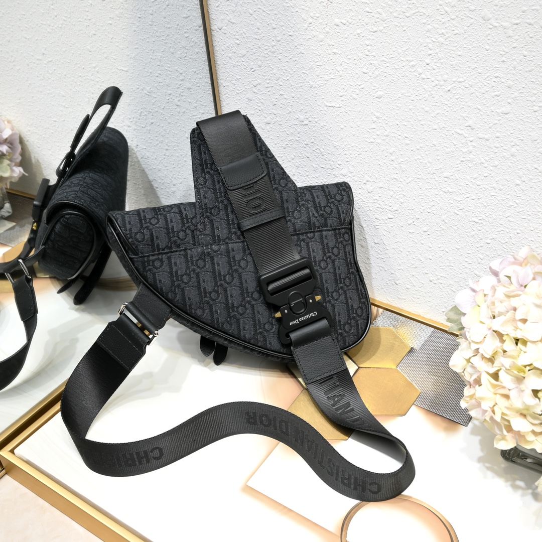 Dior Homme Pre-Fall Saddle Ophidia Shoulder Bag Handbag