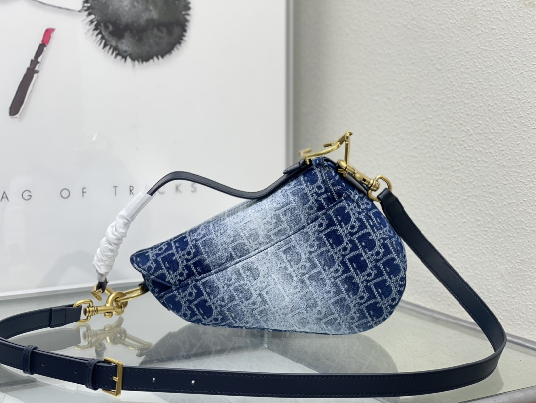 Dior Saddle Bag 5528 LM002 25.5cm