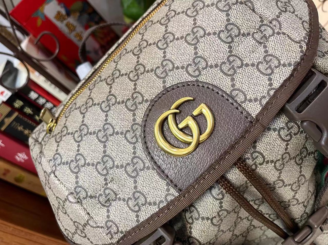 GUCCI  690999 34x42x16 cm