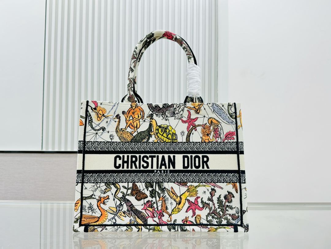 Dior Book Tote Embroider Medium Shoulder Bag Handbag