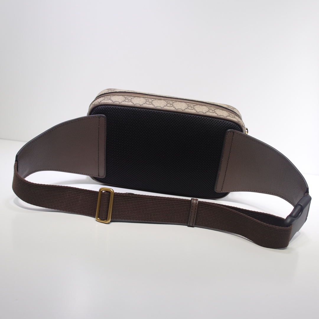 GUCCI Ophidia belt bag 574796