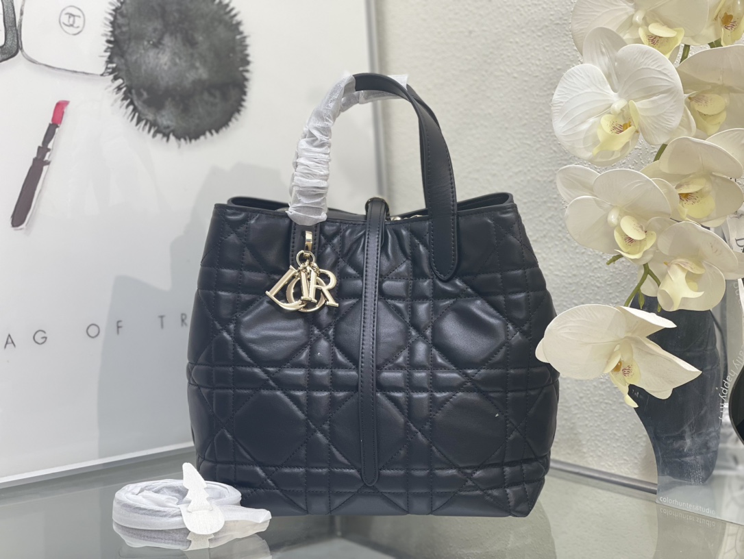Dior Toujours Bag 0326 LM002012 18-24cm