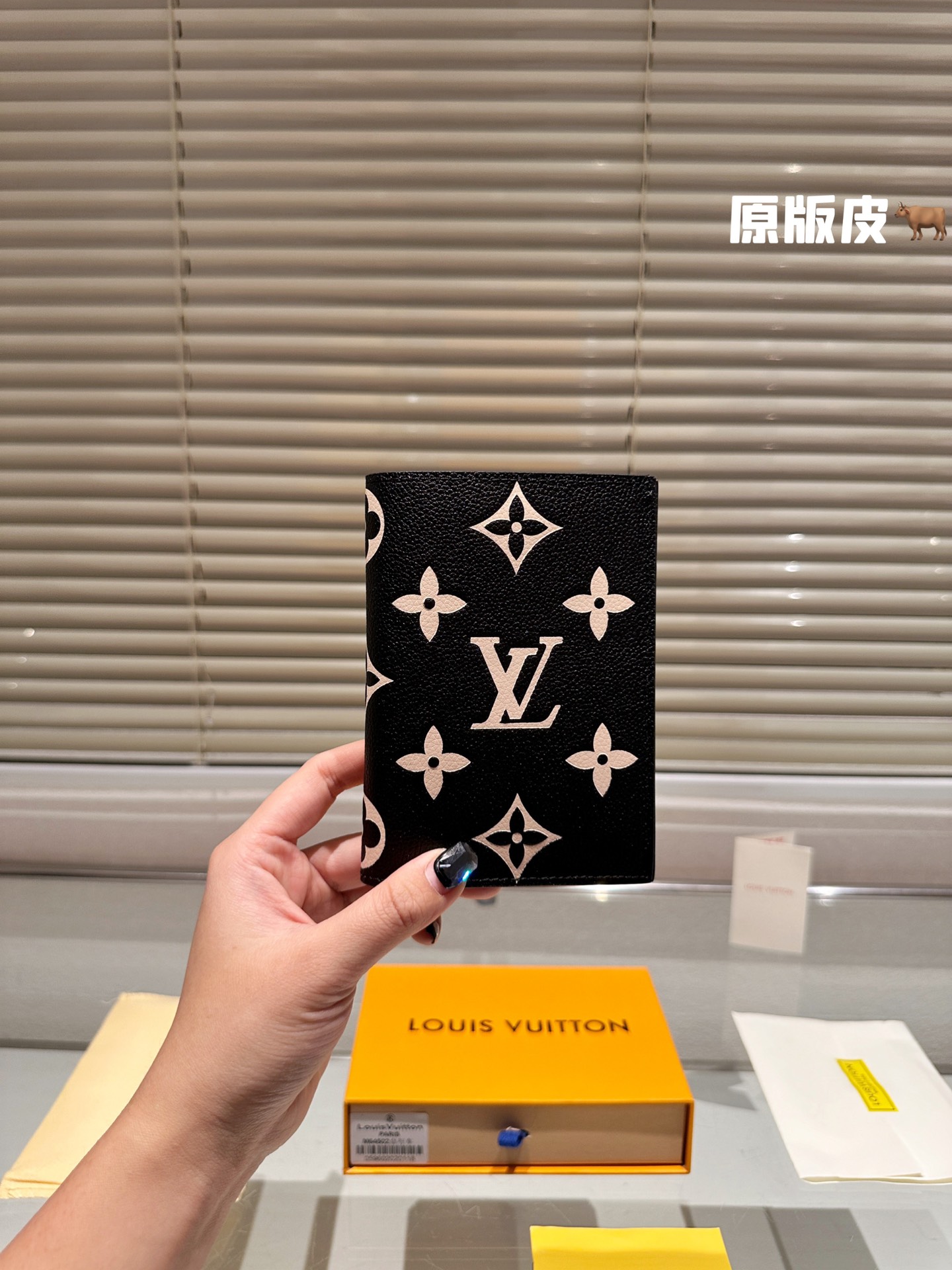 LV Passport holder 008 DB511 10cm
