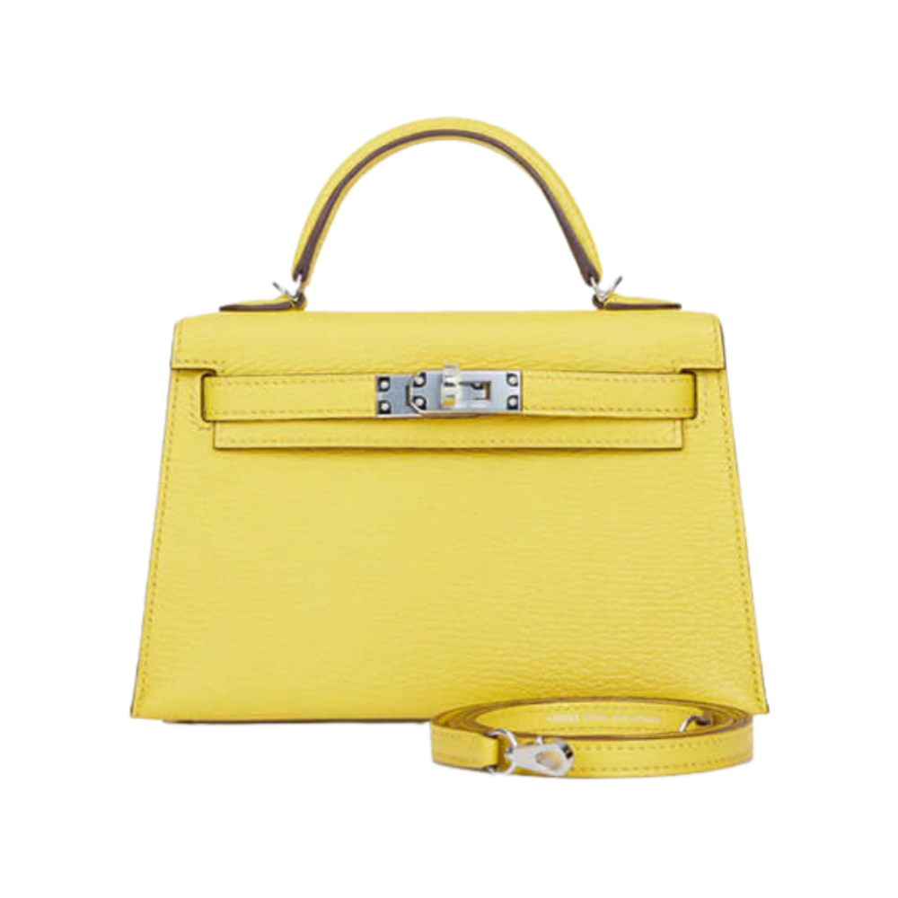 Hermes Mini Kelly II