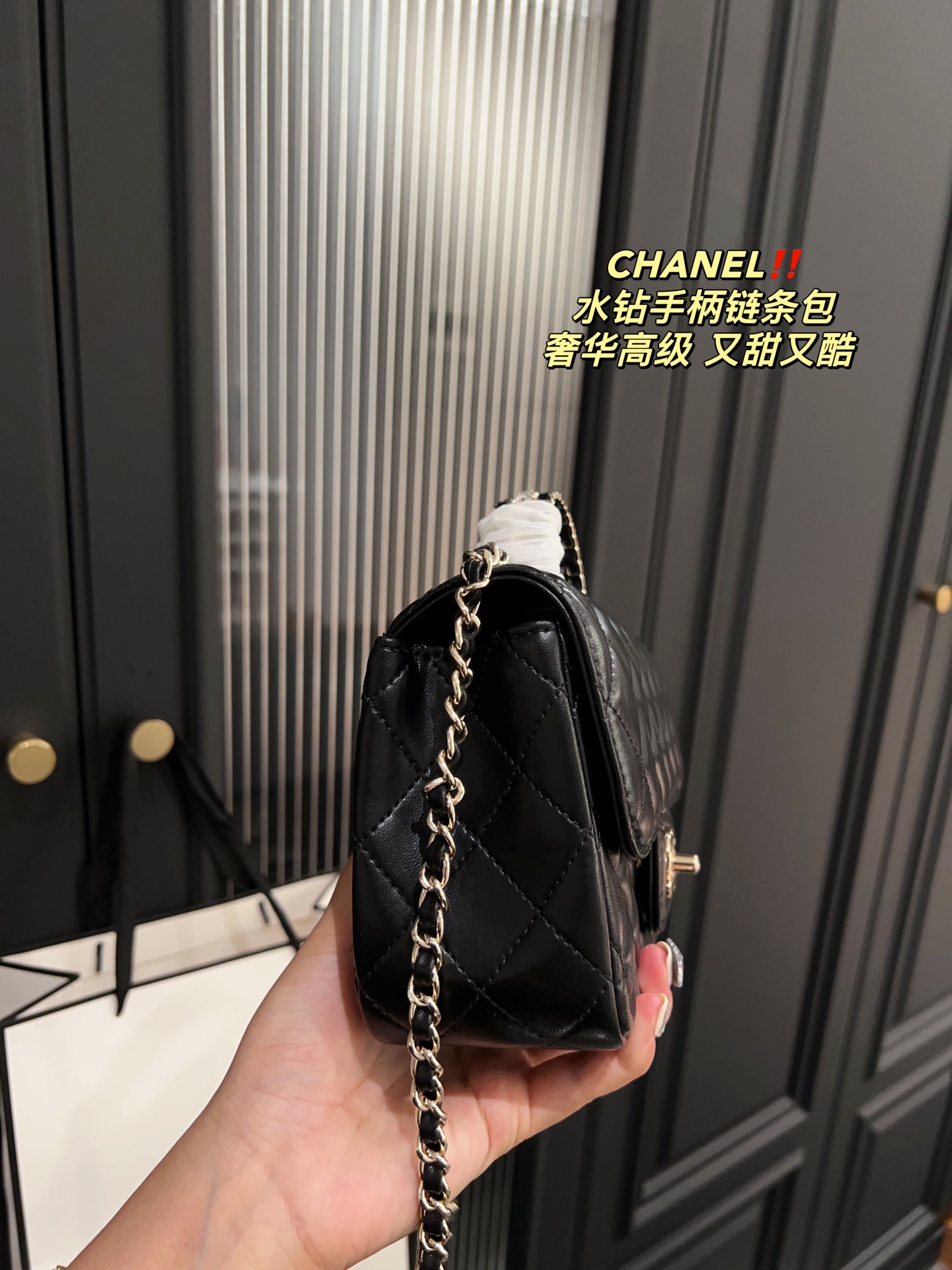 Chanel Handbag 009 DB061 19cm