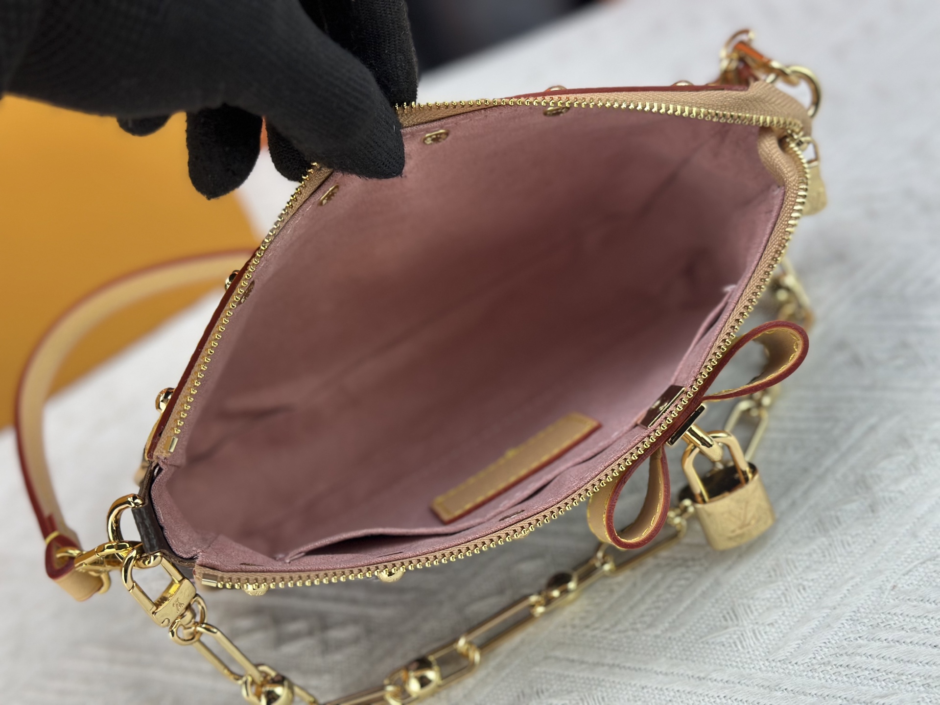 Louis Vuitton Pochette Accessoires Handbag M13666