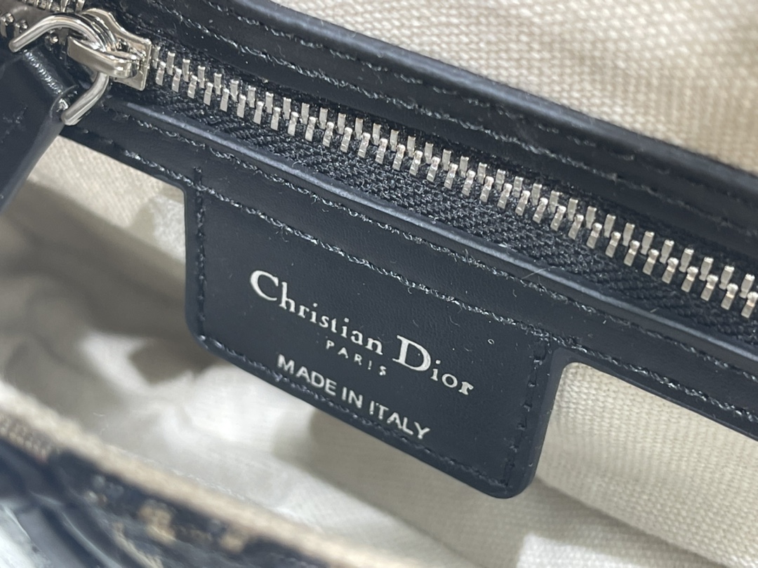 Dior Saddle Bag 5528 LM002 25.5cm