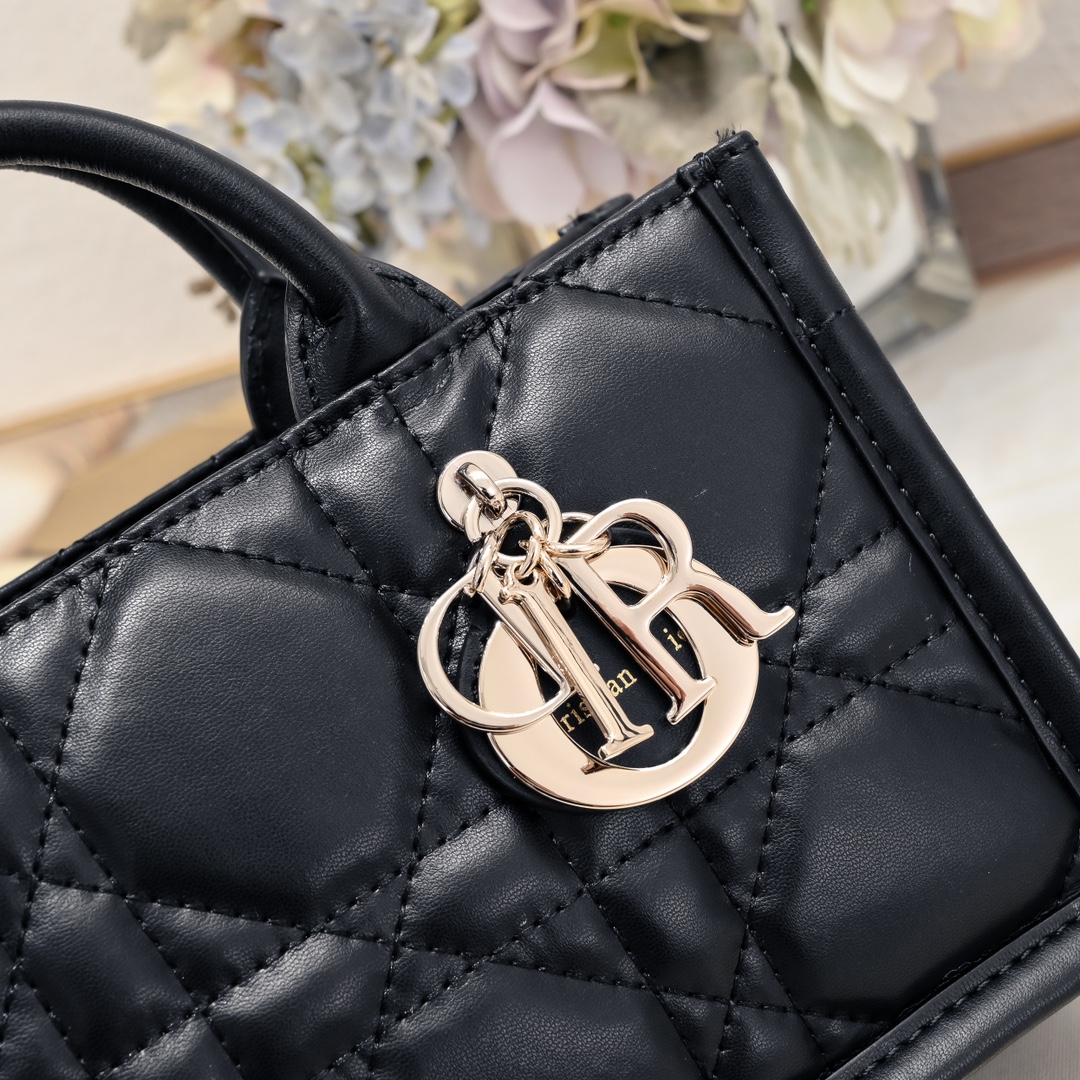 Dior Mini Book Tote Maria Grazia Chiuri design Shoulder Bag Handbag