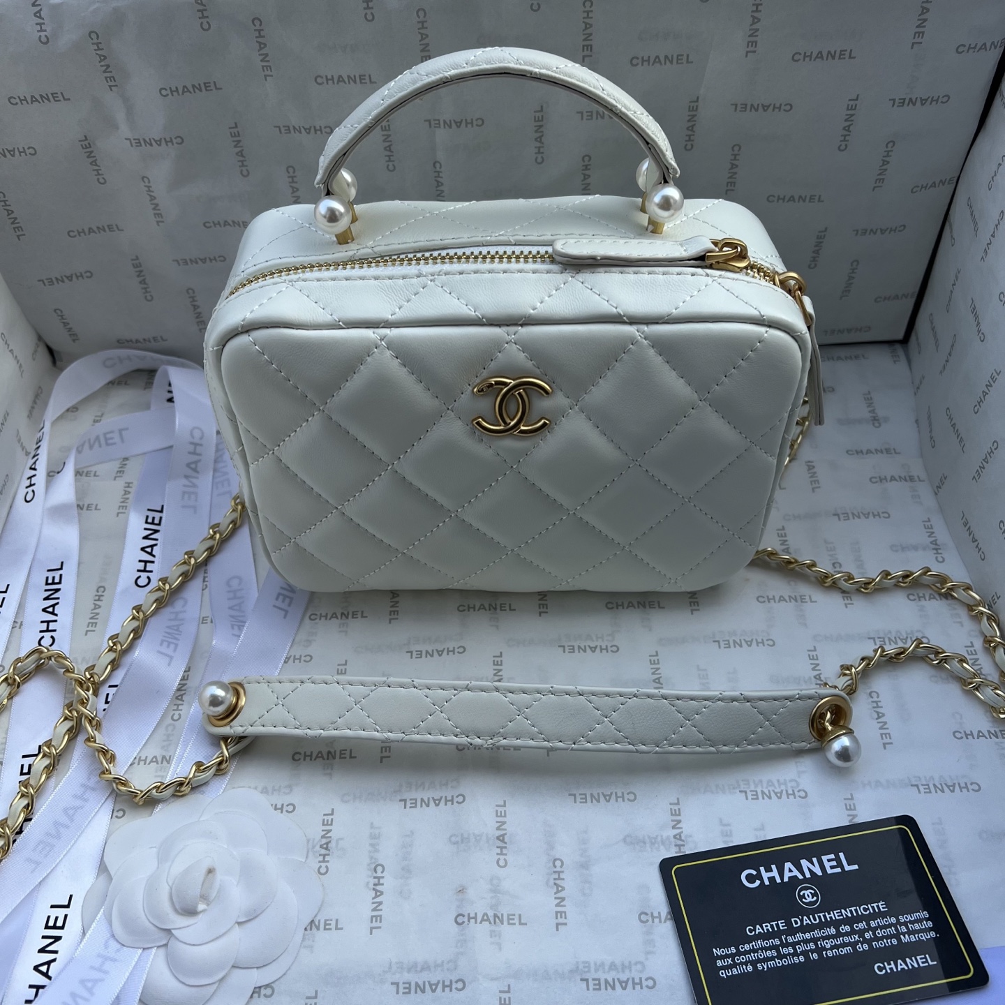 Chanel Camera bag 1225
