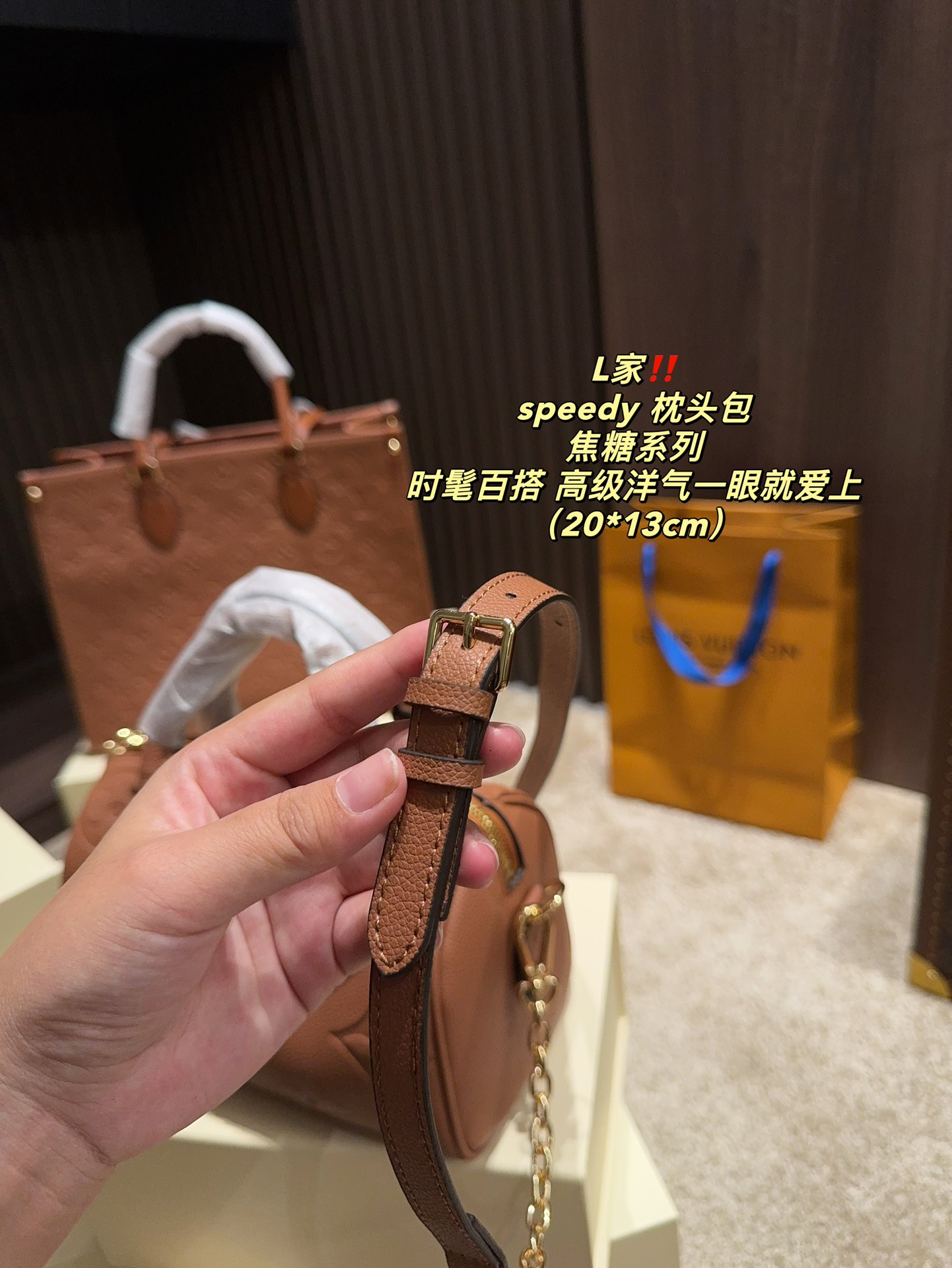 LV Speedy Bag 029 DB502 20cm