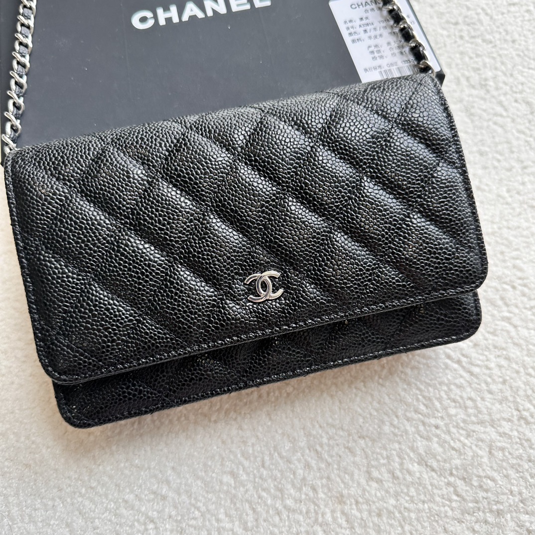 Chanel Chain Purse 33814 LM521 20cm