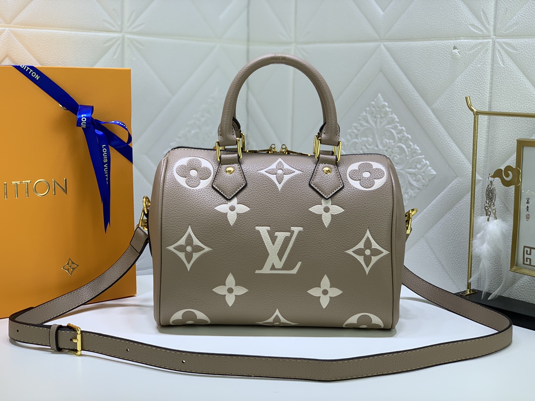 LV58947CS081 25*19*15 cm