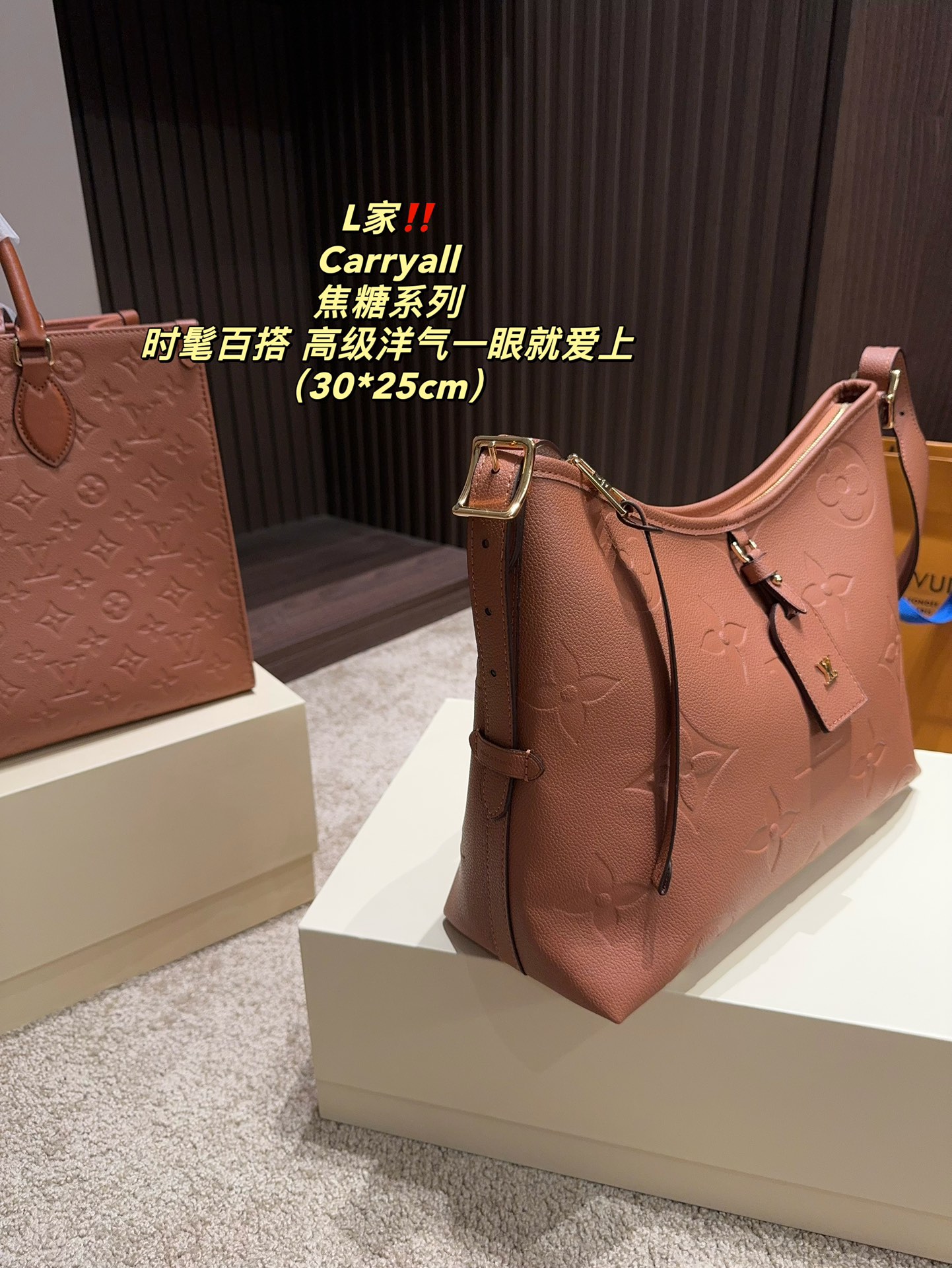 LV Carryall Bag 031 DB502 30cm