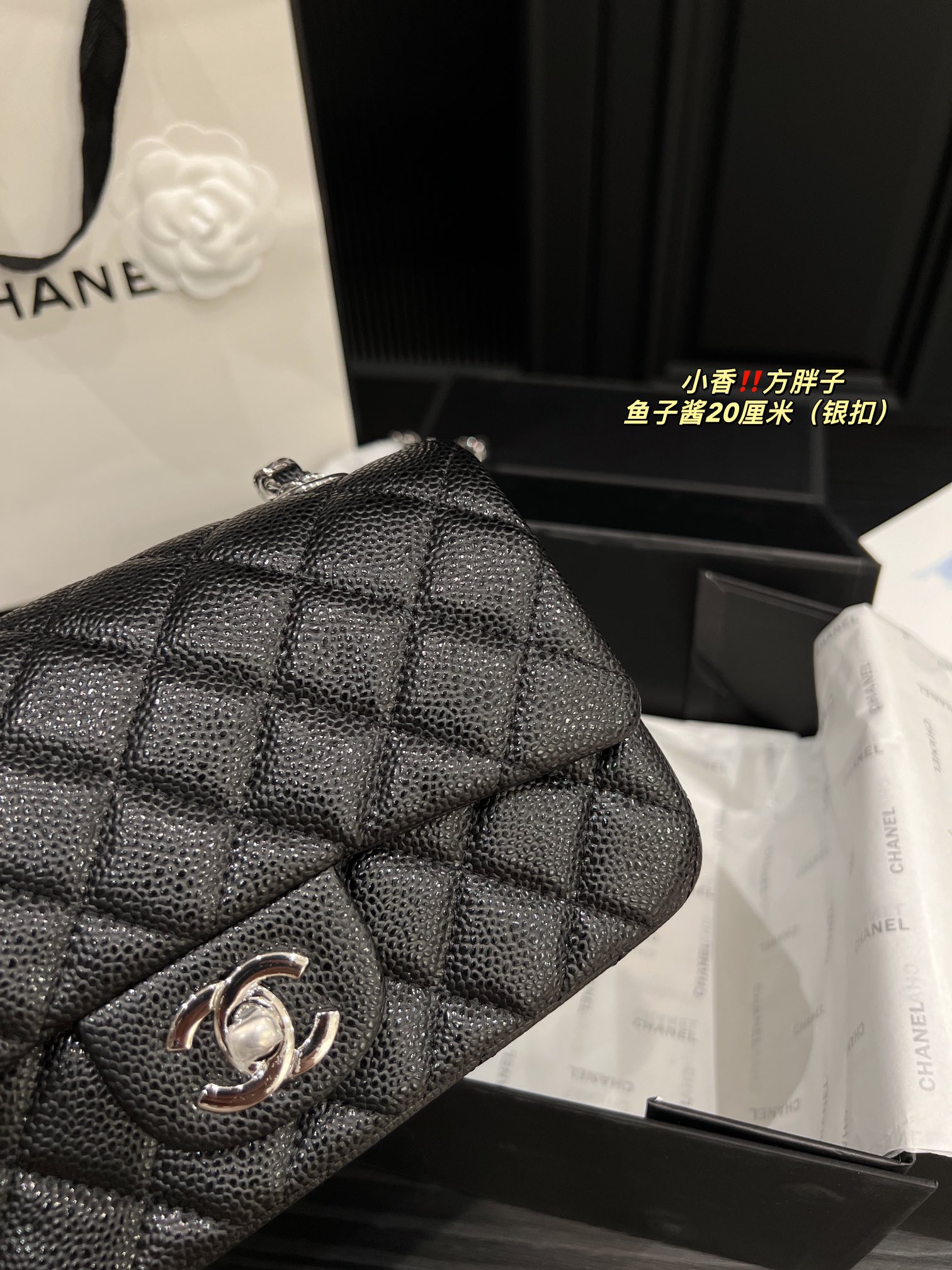 Chanel Shoulder Bag 017 DB071 20cm