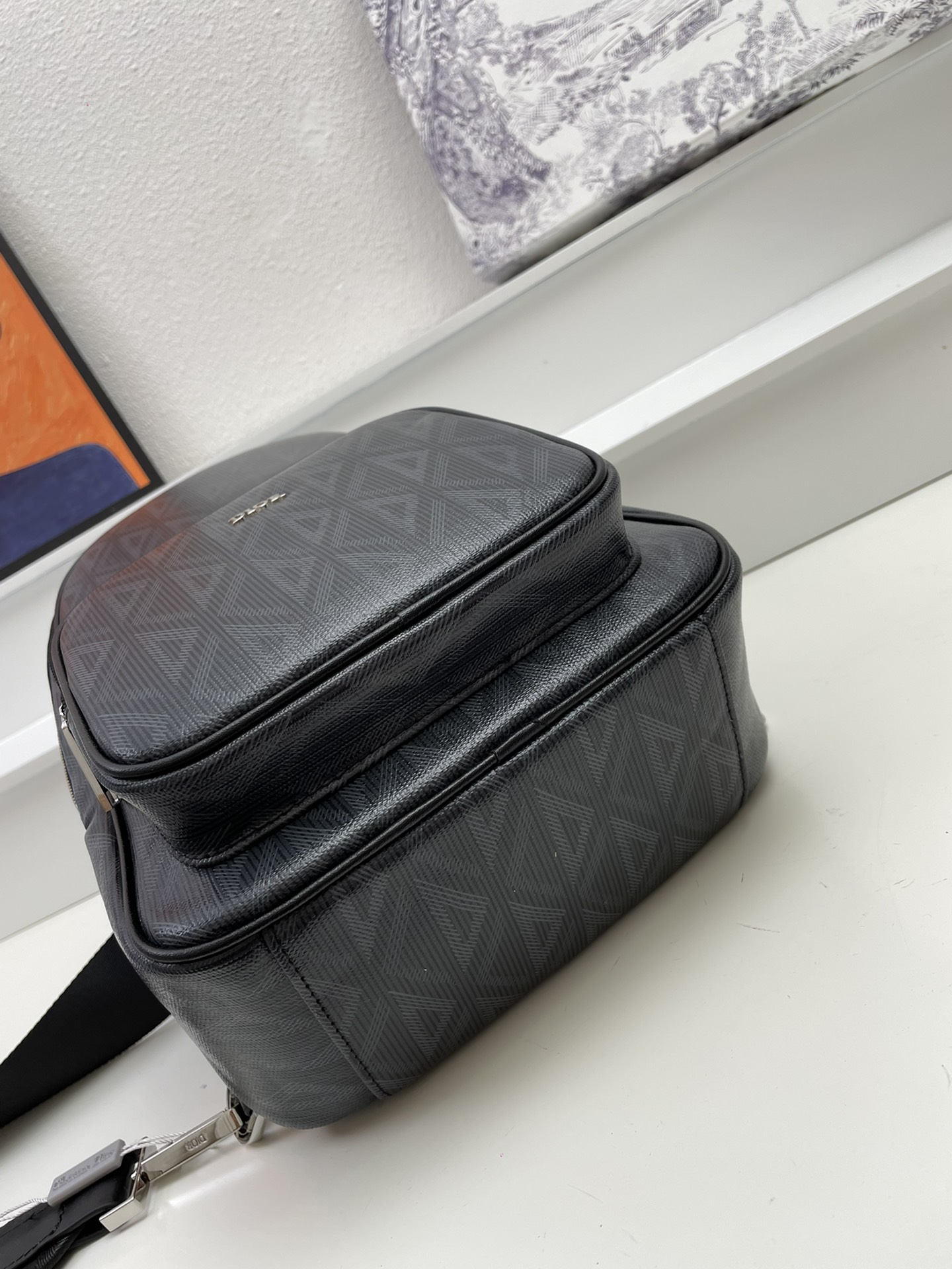 Dior Newest crossbody version shoulder bag Shoulder Bag Handbag