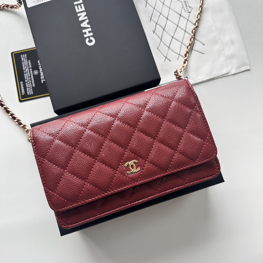 Chanel Chain Purse 33814 LM521 20cm