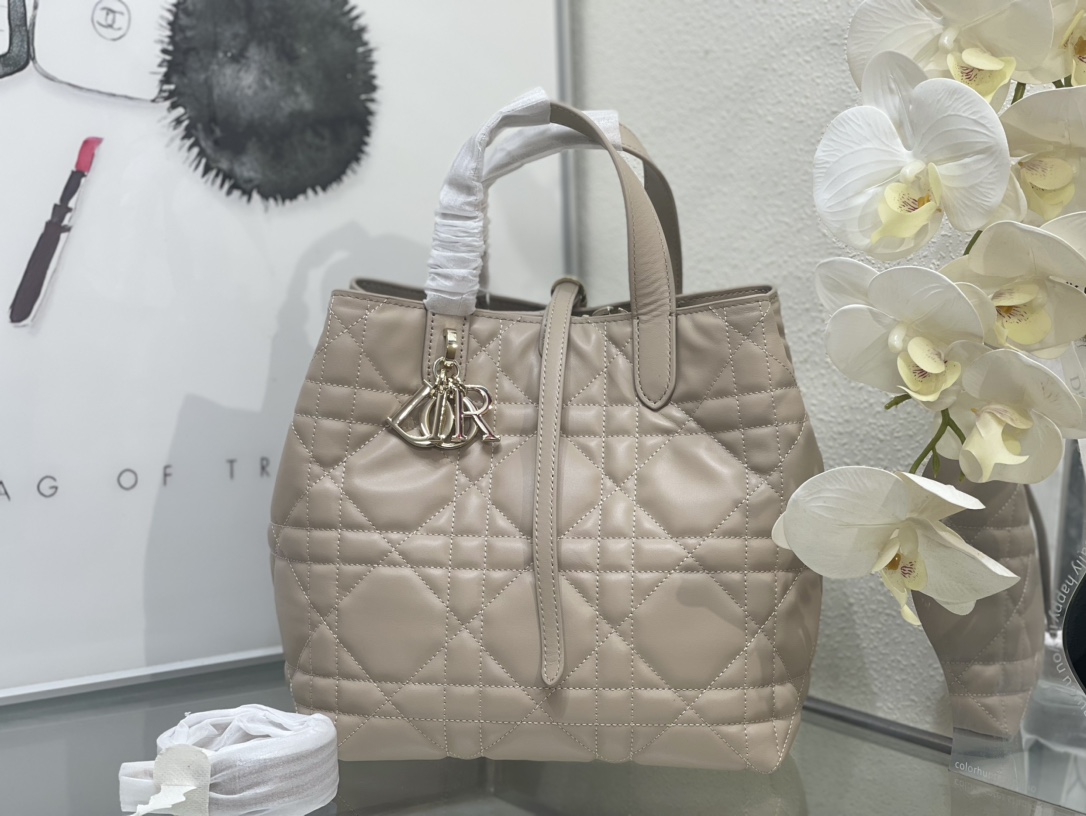 Dior Toujours Bag 0326 LM002012 18-24cm