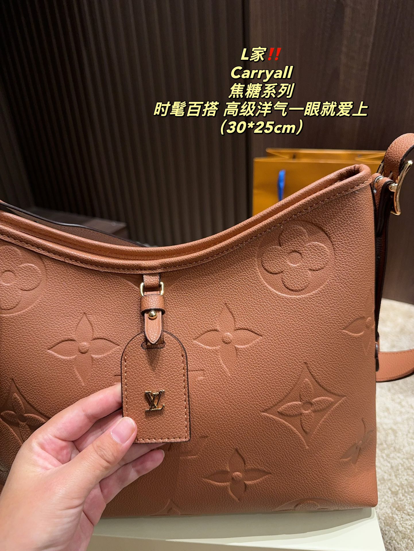LV Carryall Bag 031 DB502 30cm