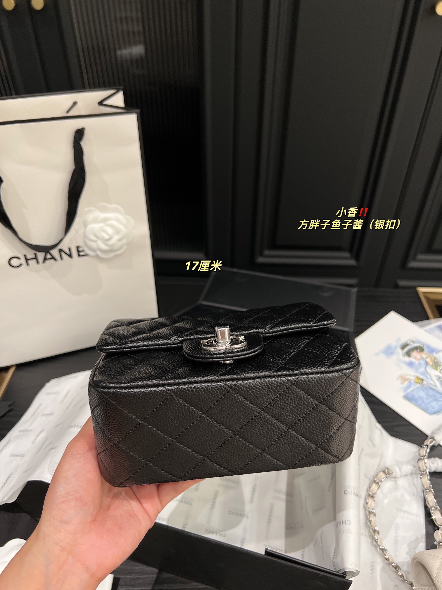 Chanel Shoulder Bag 017 DB071 17cm