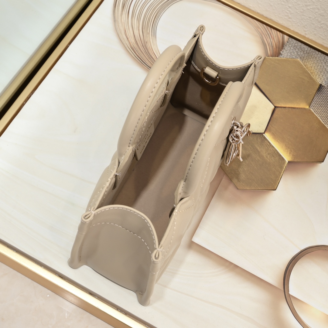 Dior Mini Book Tote Maria Grazia Chiuri design Shoulder Bag Handbag