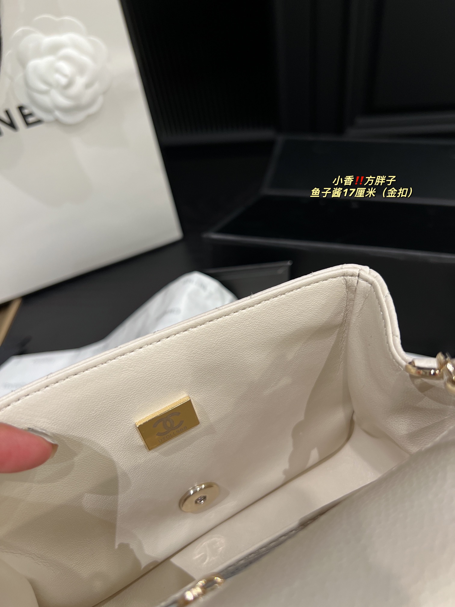 Chanel Shoulder Bag 017 DB071 17cm