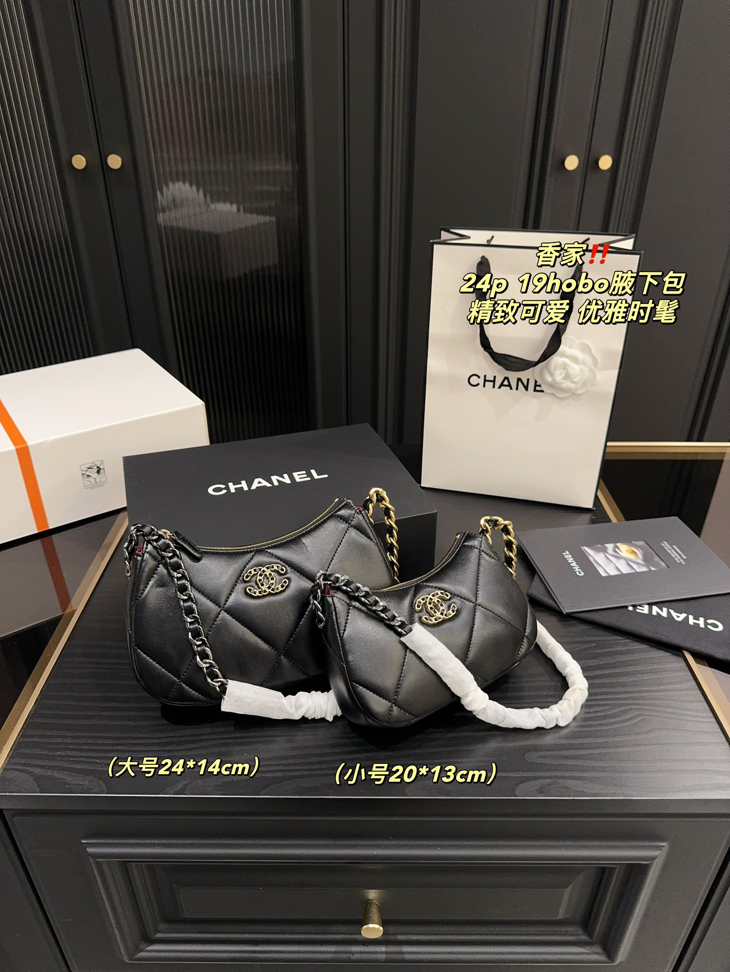 Chanel 24p 19hobo Bag 018 DB571 20-24cm