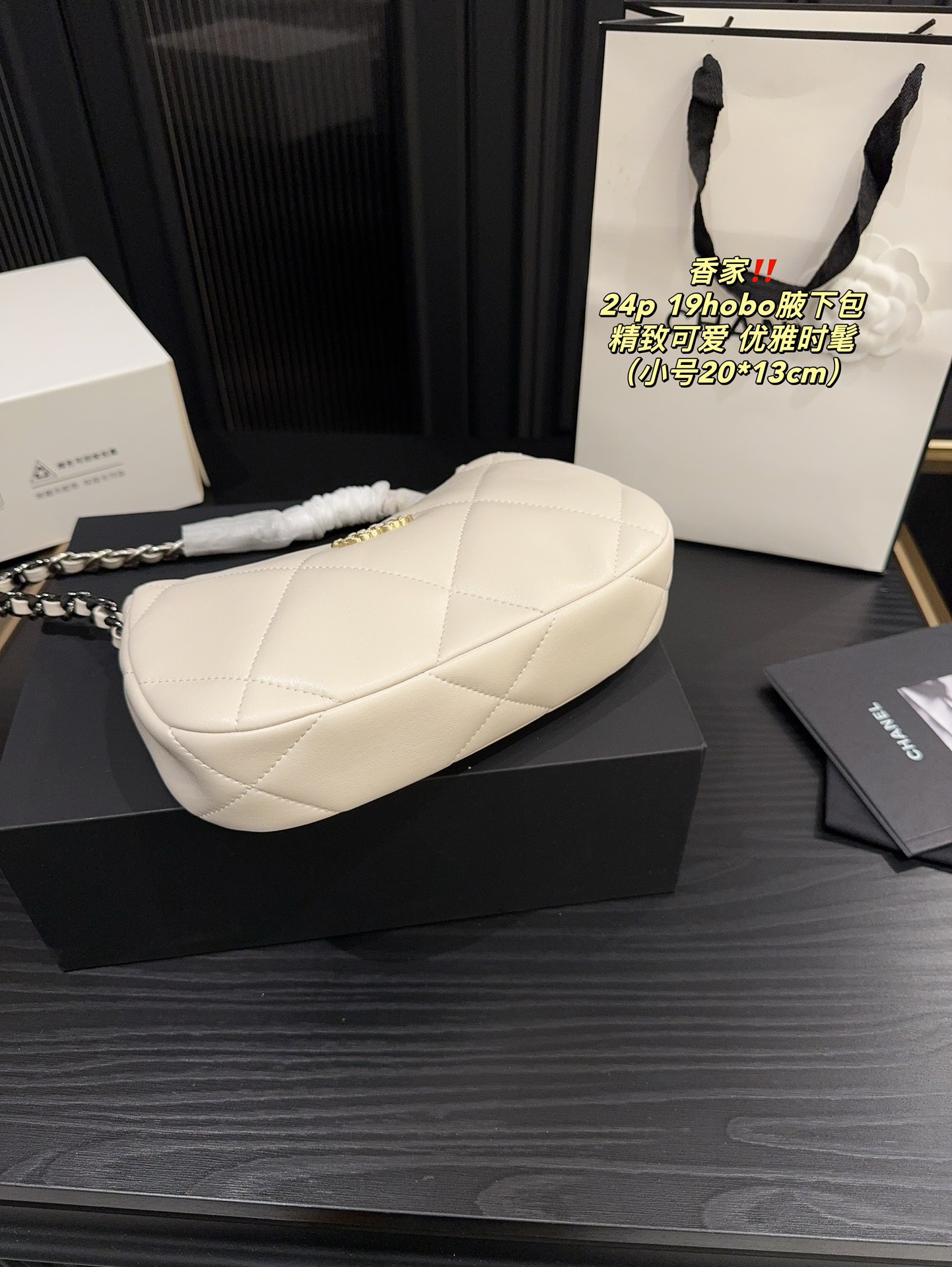 Chanel 24p 19hobo Bag 018 DB571 20-24cm