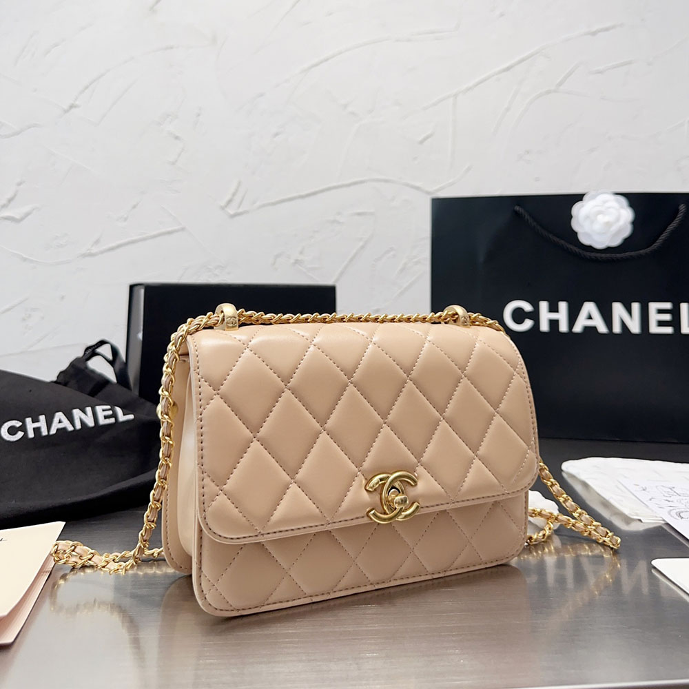 Chanel WOC Bag Double Golden Beads Shoulder Bag(Replica)
